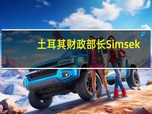 土耳其财政部长Simsek：允许土耳其里拉浮动在短期内会导致通货膨胀