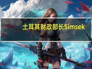 土耳其财政部长Simsek：土耳其将在条件允许的情况下积累外汇储备