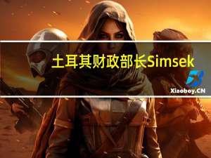 土耳其财政部长Simsek：我们至少需要一年左右的时间才能看到经济计划的具体成果