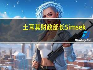 土耳其财政部长Simsek：计划在G20、德国、纽约、伦敦、亚洲和中东地区进行投资者会议