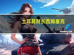 土耳其财长西姆塞克：我们允许汇率自由浮动