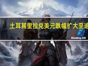 土耳其里拉兑美元跌幅扩大至逾2%