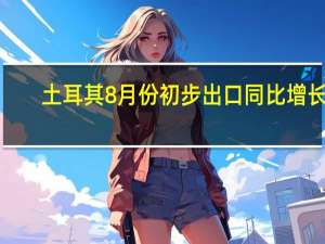 土耳其8月份初步出口同比增长1.6%达到216亿美元土耳其8月份初步进口同比下降6.3%降至305亿美元