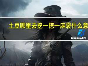 土豆哪里去挖一挖一麻袋什么意思