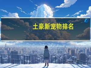 土豪新宠物排名
