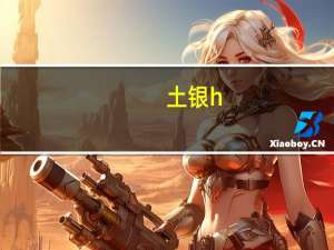 土银h（关于土银h的介绍）