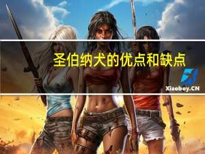 圣伯纳犬的优点和缺点