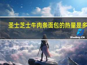 圣士 芝士牛肉条面包的热量是多少