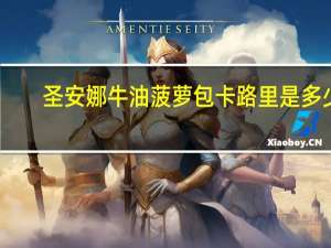 圣安娜牛油菠萝包卡路里是多少