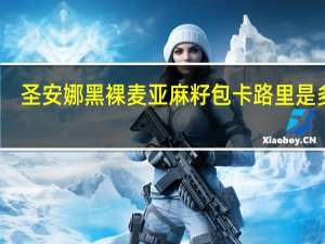圣安娜 黑裸麦亚麻籽包卡路里是多少