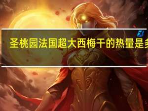 圣桃园 法国超大西梅干的热量是多少