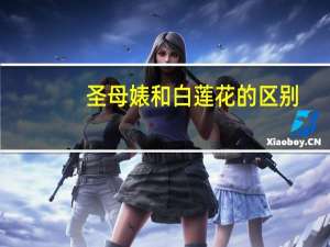 圣母婊和白莲花的区别（圣母婊）