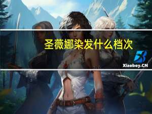 圣薇娜染发什么档次