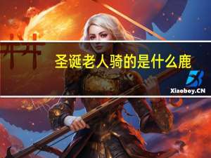 圣诞老人骑的是什么鹿