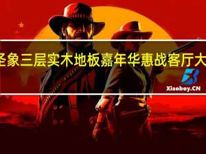 圣象三层实木地板嘉年华惠战客厅大型活动
