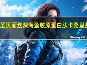 圣贝丽丝 深海鱼胶原蛋白肽卡路里是多少