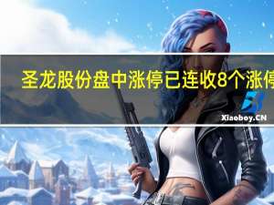 圣龙股份盘中涨停已连收8个涨停板