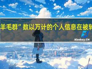 在“羊毛群” 数以万计的个人信息在被转卖、利用