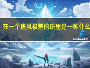 在一个班风极差的班里是一种什么体验