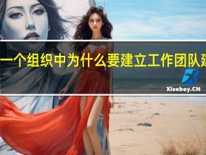 在一个组织中为什么要建立工作团队建设体系（在一个组织中为什么要建立工作团队建设）