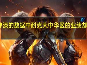 在一片惨淡的数据中耐克大中华区的业绩却显出了坚韧性