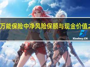 在万能保险中净风险保额与现金价值之和就是