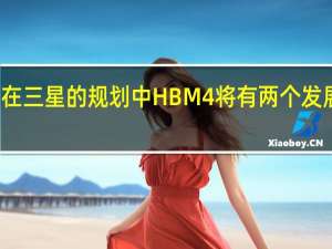 在三星的规划中HBM4将有两个发展方向