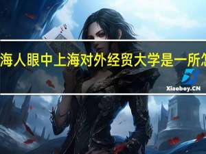 在上海人眼中上海对外经贸大学是一所怎样的学校