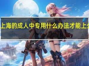 在上海的成人中专用什么办法才能上公办高职