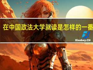 在中国政法大学就读是怎样的一番体验