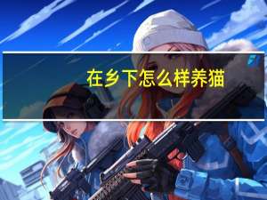 在乡下怎么样养猫