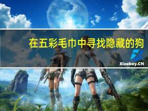 在五彩毛巾中寻找隐藏的狗，展现你的独特视角