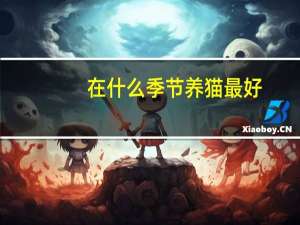 在什么季节养猫最好