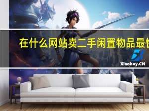 在什么网站卖二手闲置物品最快