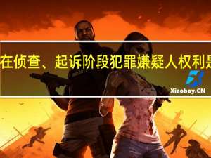 在侦查、起诉阶段犯罪嫌疑人权利是什么