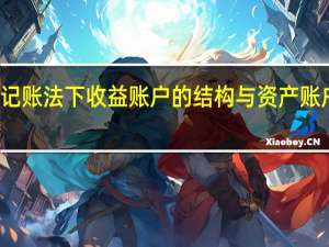 在借贷记账法下收益账户的结构与资产账户的结构相同