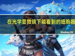 在光学显微镜下能看到的细胞器有：