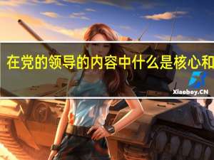 在党的领导的内容中什么是核心和根本