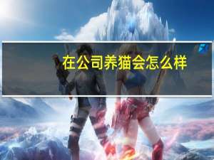 在公司养猫会怎么样