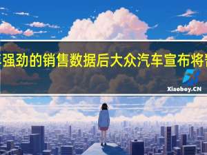 在公布了2019年强劲的销售数据后大众汽车宣布将暂停在欧洲各地的生产