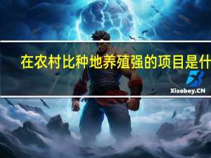 在农村比种地养殖强的项目是什么