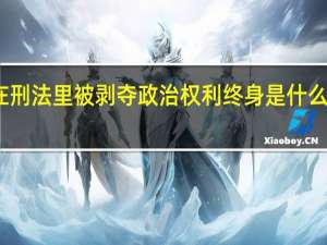 在刑法里被剥夺政治权利终身是什么意思啊