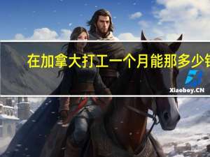 在加拿大打工一个月能那多少钱
