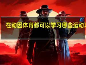 在动因体育都可以学习哪些运动项目