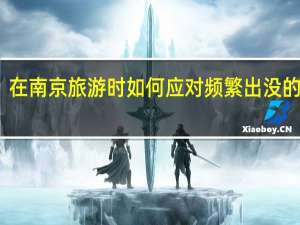 在南京旅游时如何应对频繁出没的蟑螂