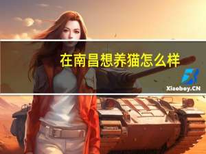 在南昌想养猫怎么样
