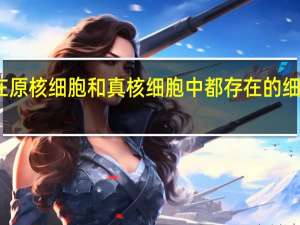 在原核细胞和真核细胞中都存在的细胞器是