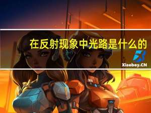 在反射现象中光路是什么的