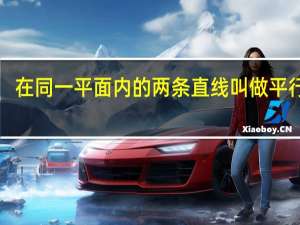 在同一平面内的两条直线叫做平行线．