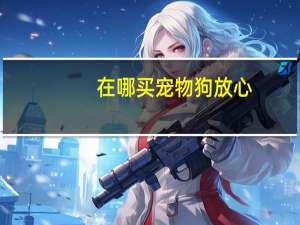 在哪买宠物狗放心